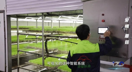 我有一根“蘑”法棒丨科創(chuàng)Z世代 人工智能基礎軟件開發(fā)