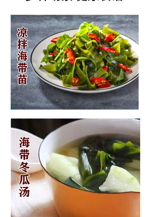 霞浦壓縮海帶苗圓餅 無沙免洗即食，特級脆嫩海味干貨批發首選